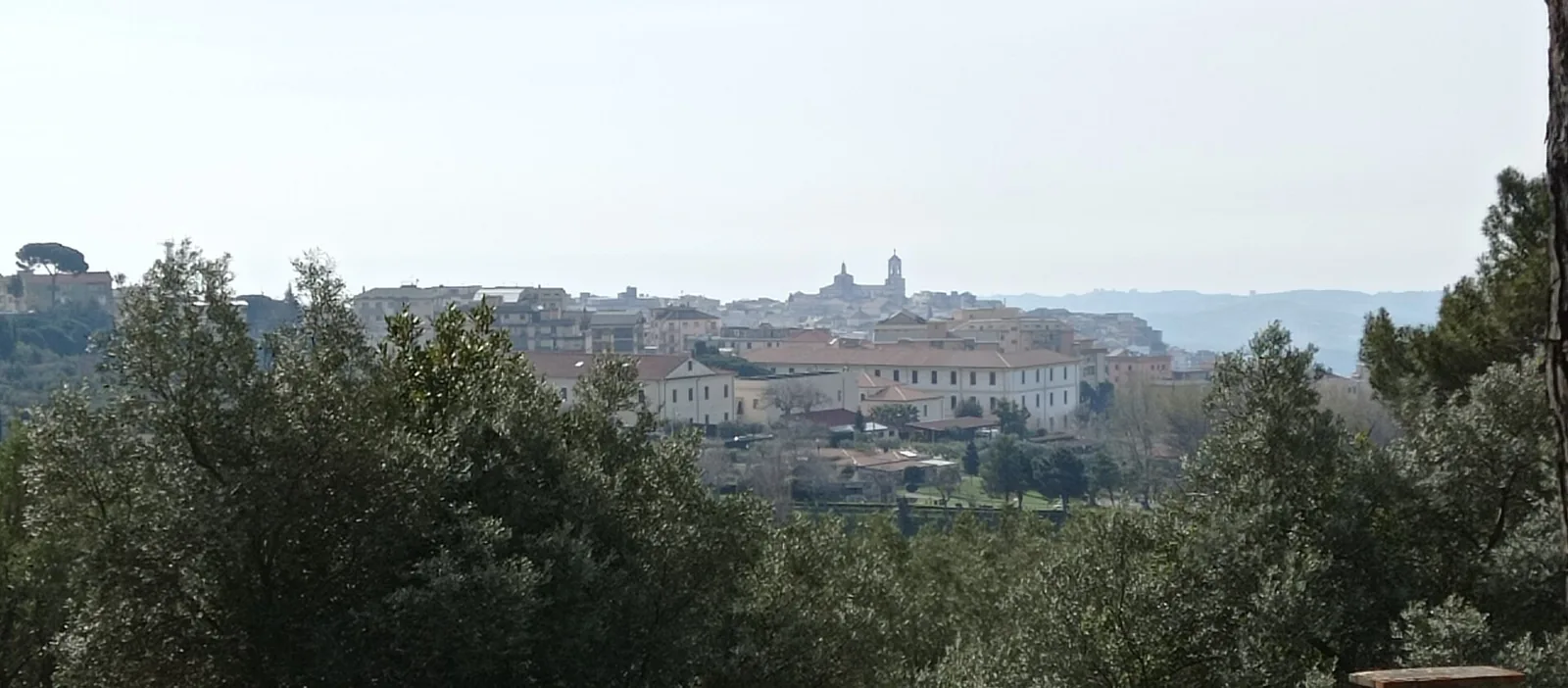 Panorama centrum Catanzaro widziana zza drzew.