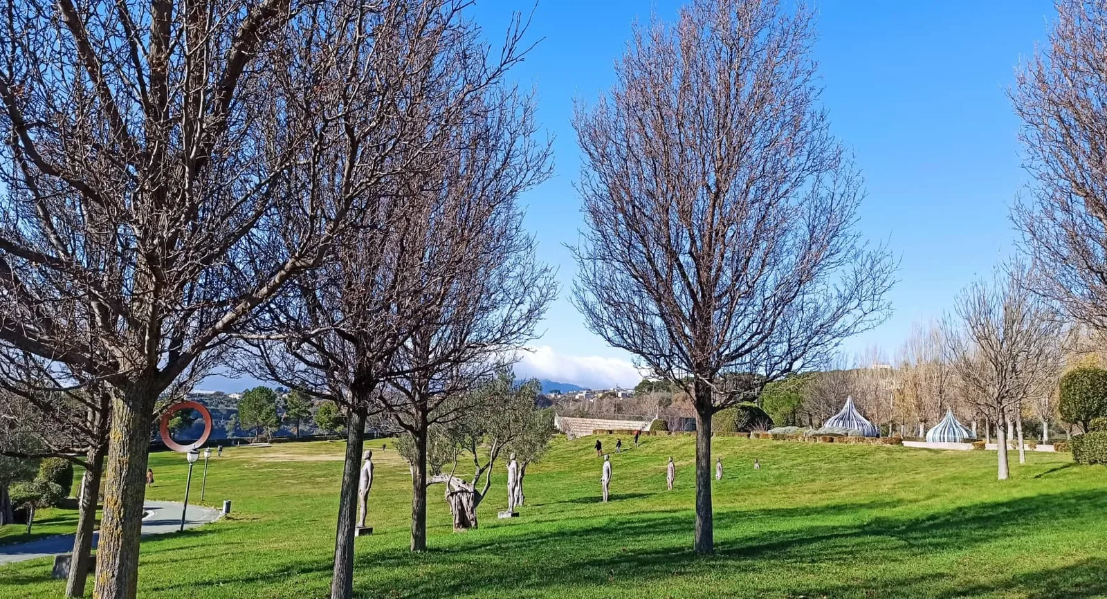 Park rzeźb w Catanzaro z drzewami i zielonym trawnikiem
