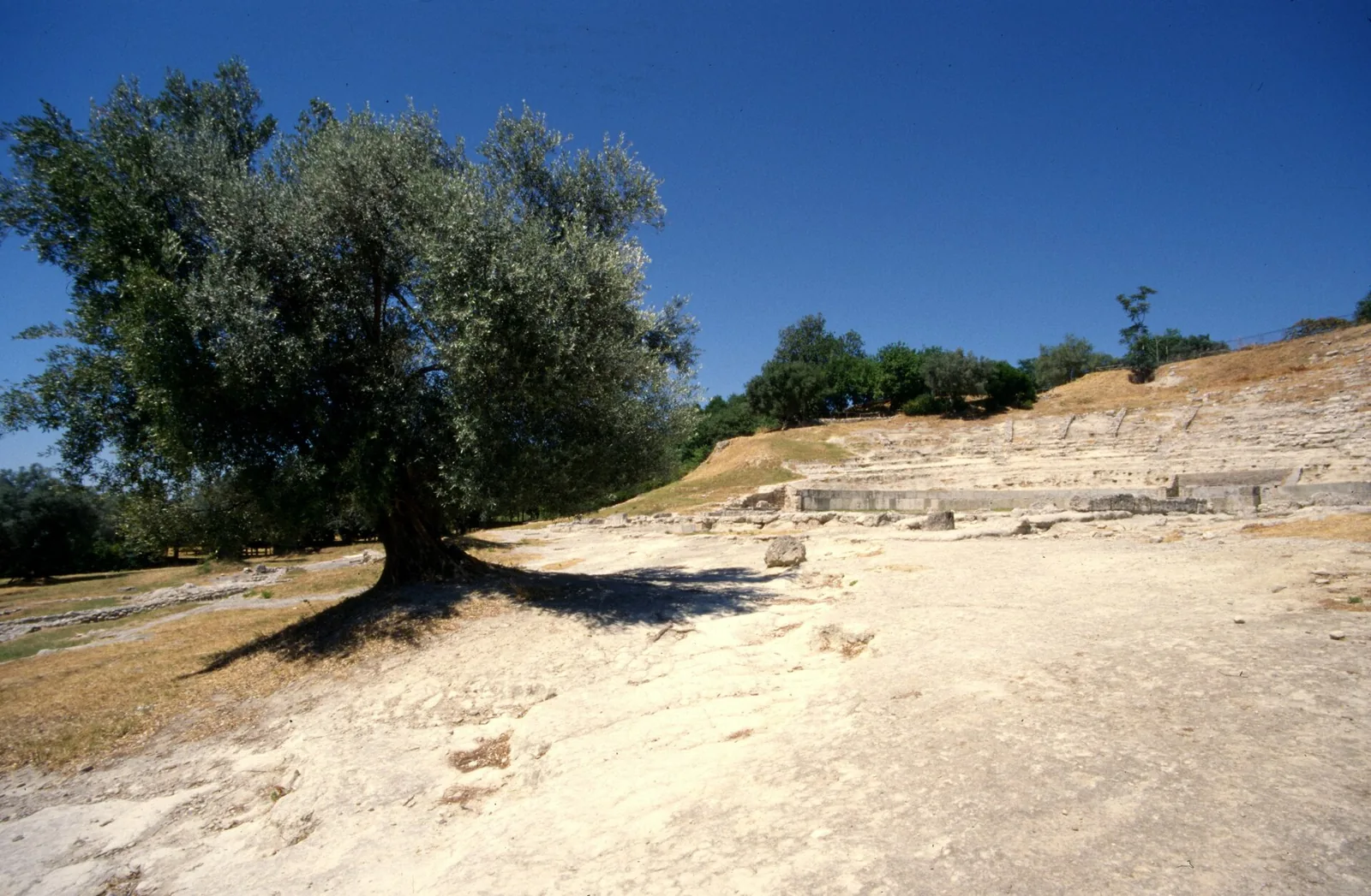 Greek theater of Locri Epizefiri on a hillside.
