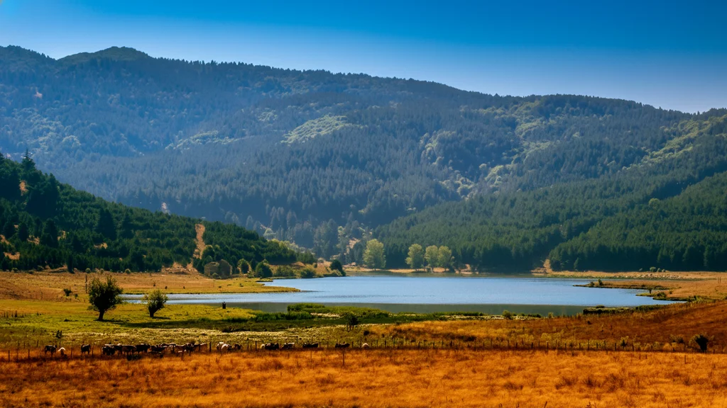 Sila National Park – Lake Ariamacina in the heart of Calabria